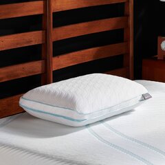 Zeopedic dual cool top pillow